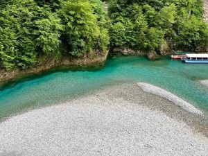 Tour from Tirana to Shala River