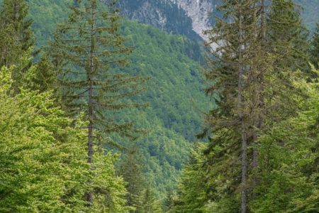 Transfer from Shala River to Valbona